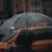 Issues To Do in Barcelona When it Rains