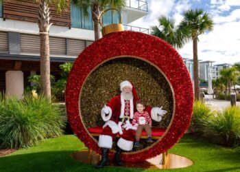 Fancy, Amusing & Loose Christmas Stuff Coming to Disney Global House AAA 5 Diamond Luxurious Resort