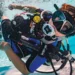 Underwater Beginnings: How Adolescence Diving Is Redefining Circle of relatives Commute