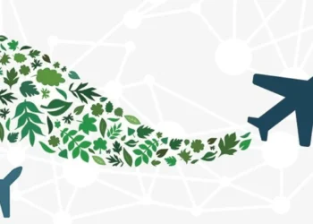 IATA requires higher world cooperation on aviation local weather motion