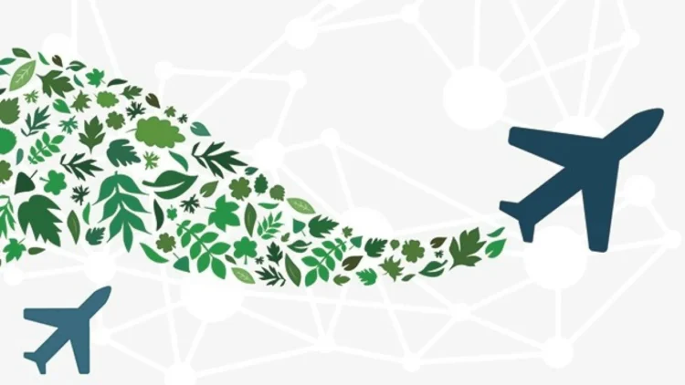 IATA requires higher world cooperation on aviation local weather motion