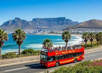 Easiest Time for a Cape The town Bus Excursion: Seasonal Climate & Commute Pointers