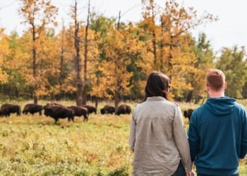 Issues to Do in October 2025