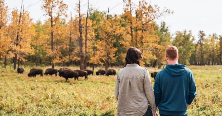 Issues to Do in October 2025