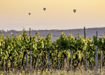 Exploring the Non violent Nation-state Cities Throughout Australia