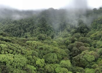 Most sensible Costa Rica Shuttle Errors for First-Time Guests (& How you can Keep away from Them)