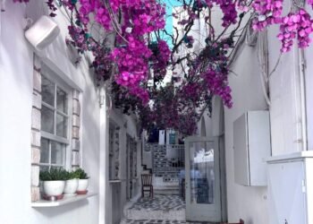 Most sensible Issues to Do in Naxos Greece