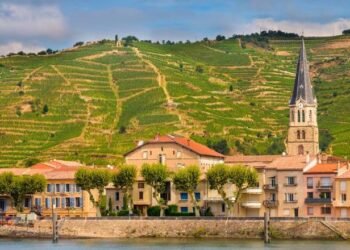 The Perfect Ecu Locations for Meals & Wine Enthusiasts