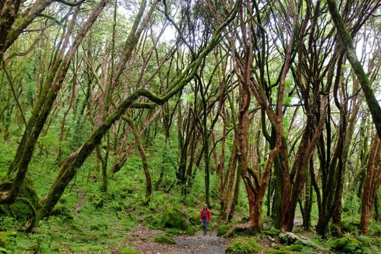 3 Issues Your Emergency Shuttle Price range Duvet