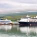 Iceland’s Cruise Business Expects Really extensive Losses