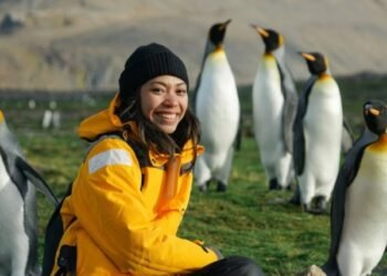 Final-Probability Tourism Speeds up the Harm of Nature