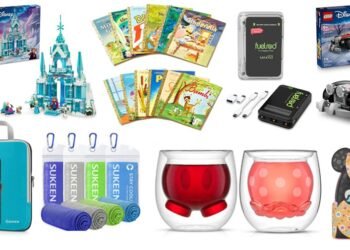 Largest Black Friday 2025 Gross sales on Disney Stuff!