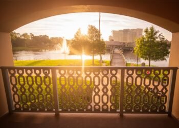 Worth vs. Average Inns at Disney International