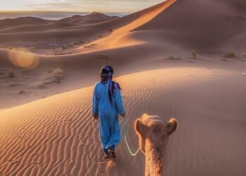 Startup Degree: WildyNess desires to attach MENA vacationers with native studies