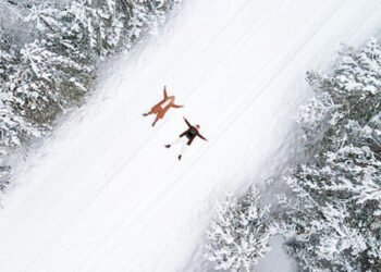 Enjoying favorites: The makings of a go-to shuttle model