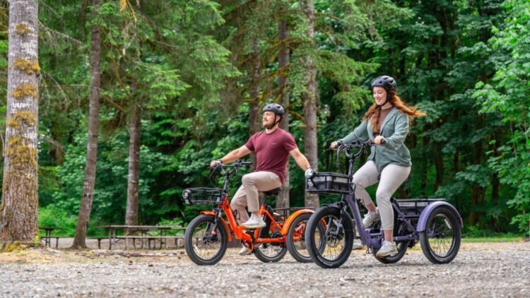 Unwrapping Freedom and Journey This Vacation Season