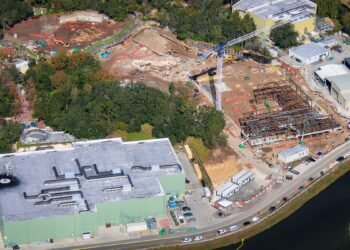 Disney Global Shifting Speedy on Encanto Appeal Development at Animal Kingdom