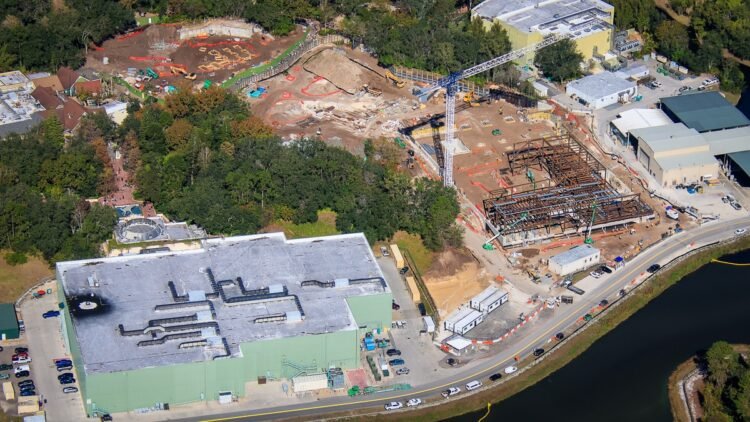 Disney Global Shifting Speedy on Encanto Appeal Development at Animal Kingdom