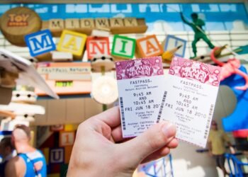 Best 10 Visitor Court cases About Disney Global