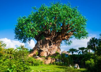 Disney International’s Bizarre Tree of Existence Demolition & Development Lets in