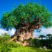 Disney International’s Bizarre Tree of Existence Demolition & Development Lets in