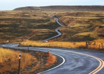 How Vacationers Can Navigate Felony Demanding situations After Highway Injuries