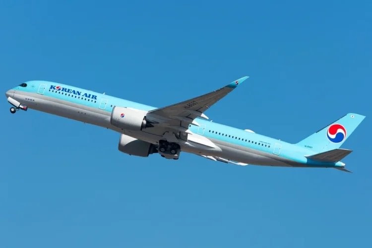 Korean Air bans in-flight energy financial institution use