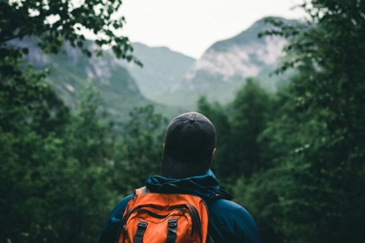 Pupil Shuttle Secrets and techniques That Do not Display Up in Your Instagram Feed