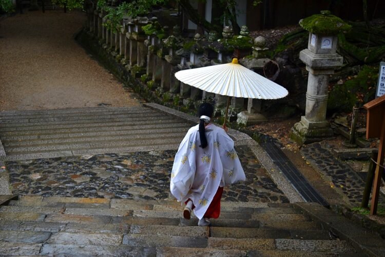 Off-the-Overwhelmed Trail Shuttle: Protection Recommendation for Solo Vacationers