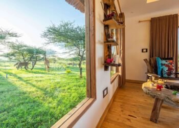 Serval Flora and fauna: Essentially the most remarkable safari park journey – get nearer than you ever imagined