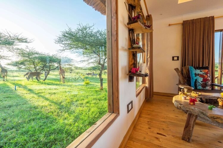 Serval Flora and fauna: Essentially the most remarkable safari park journey – get nearer than you ever imagined