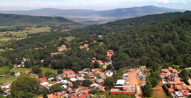 What to Consume within the Switzerland of Mexico