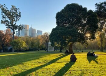 Melbourne With Children: A Circle of relatives-Pleasant Information to Exploring the Town