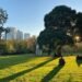 Melbourne With Children: A Circle of relatives-Pleasant Information to Exploring the Town