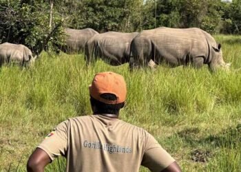 Congo Nile Path Itinerary: A 19-Day Adventure Thru Rwanda, Congo & Uganda