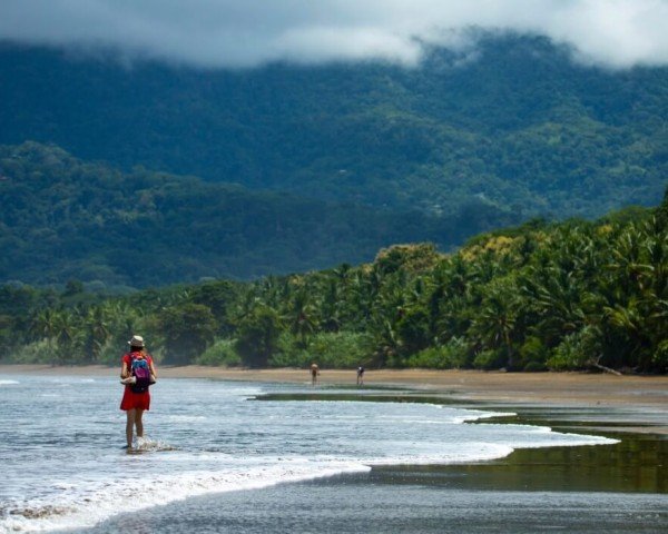 Costa Rican Tourism No longer Rising As Speedy As Anticipated