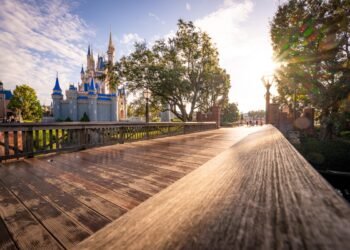 Uncover Disney International Price ticket Deal Gives $64 According to Day Park Visits!