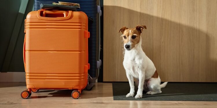 UK-based Snaptrip Workforce completes 2 acqusitions