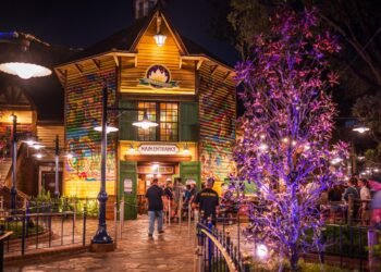 Most sensible 15 Queues at Disney International