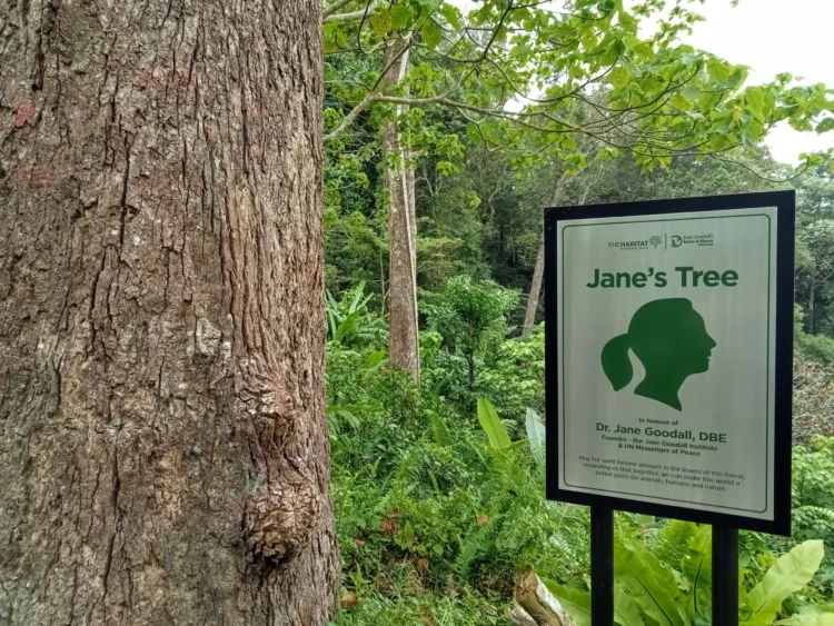 5 international locations lead ecotourism fee as sector worth hits $295B