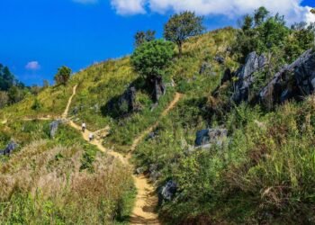 5 Part-Day Hikes With Giant Perspectives (Easiest for Burnout Week)