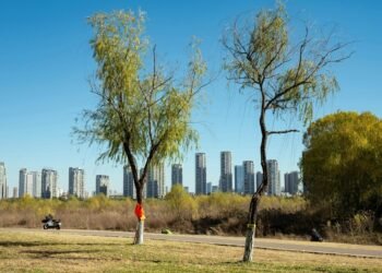 Micro-Adventures for Higher Center of attention: Simple Tactics to Battle Off a Heavy Semester