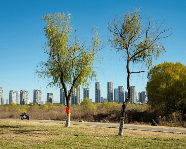 Micro-Adventures for Higher Center of attention: Simple Tactics to Battle Off a Heavy Semester