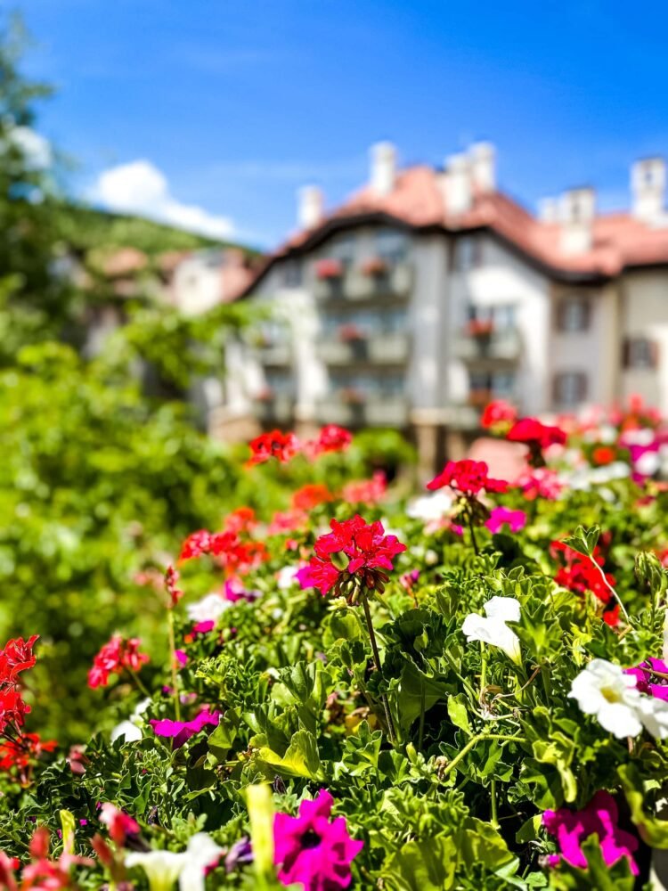 Very best Issues To Do In Vail in Summer season (2026 Information) – The Shuttle Chunk