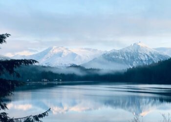 Exploring Alaska’s Glaciers and Fjords on an Extremely-Luxurious Cruise Adventure