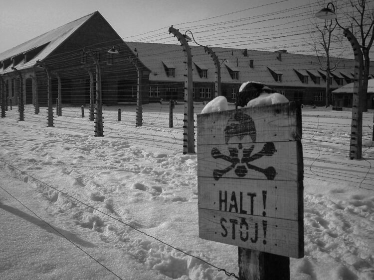 How you can Examine Price tag Choices for Auschwitz Earlier than You Cross