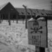 How you can Examine Price tag Choices for Auschwitz Earlier than You Cross