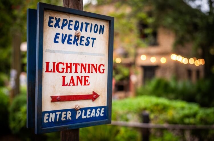 Lightning Lanes Promoting Out Throughout Disney International’s Worst Week of Iciness
