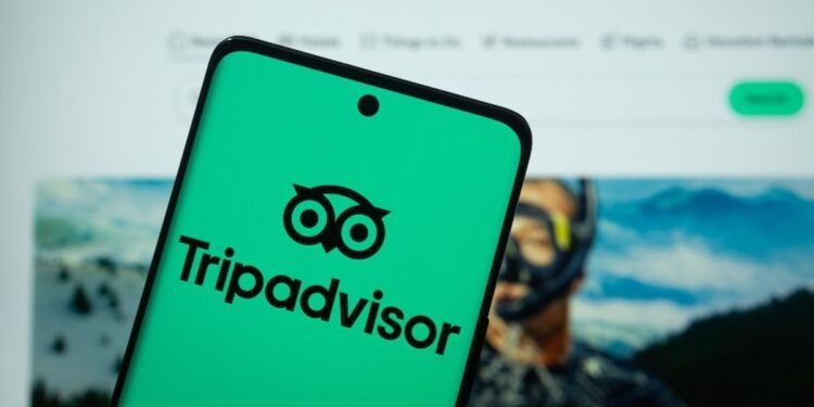 Tripadvisor happy with reviews earnings contribution, early AI MVP exams