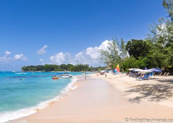 The whole lot You Want to Know